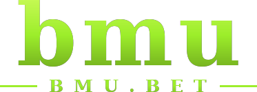 bmu logo